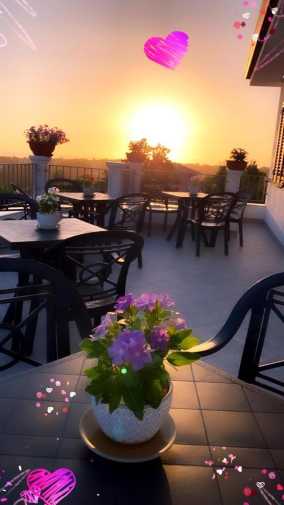 B & B Vilenia San Nicola Arcella Extérieur photo